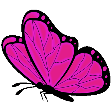 Butterfly2