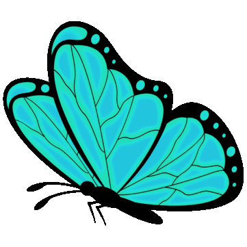 Butterfly3